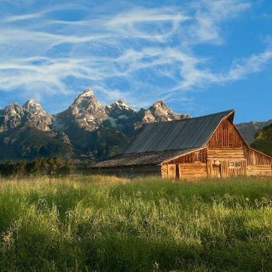 Yellowstone